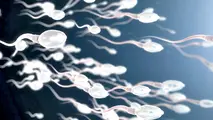 Imagen referencial de un conjunto de espermatozoides. TWITTER