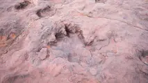 Una huella de un dinosaurio en Tarija. La Voz de Tarija ARCHIVO