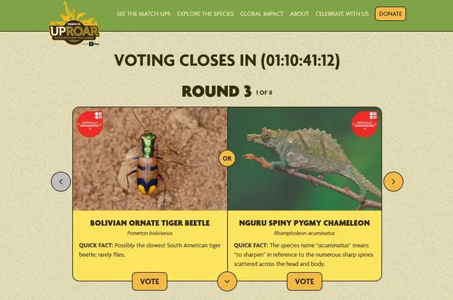 El certamen se encuentra en su tercera fase, con 16 especies en competencia. ABI