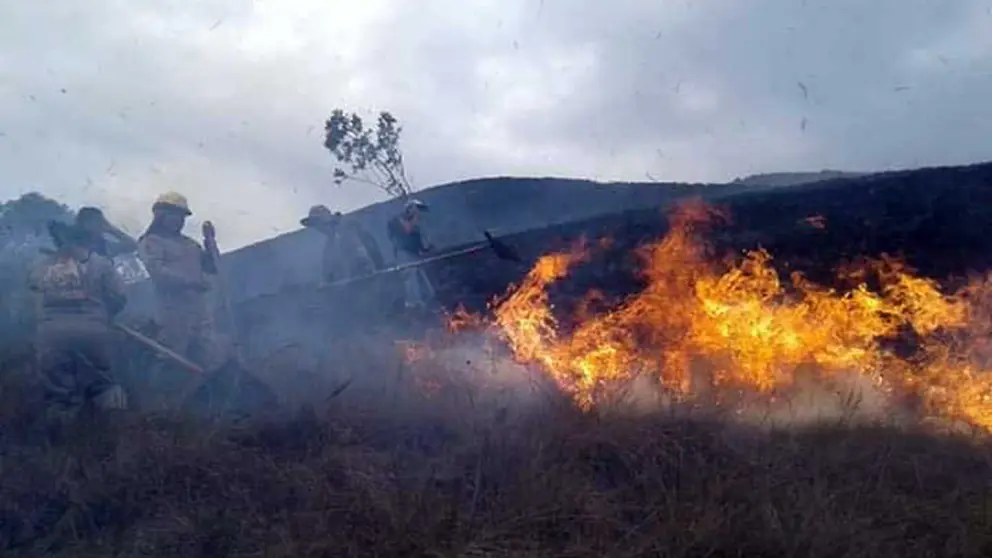 Madidi