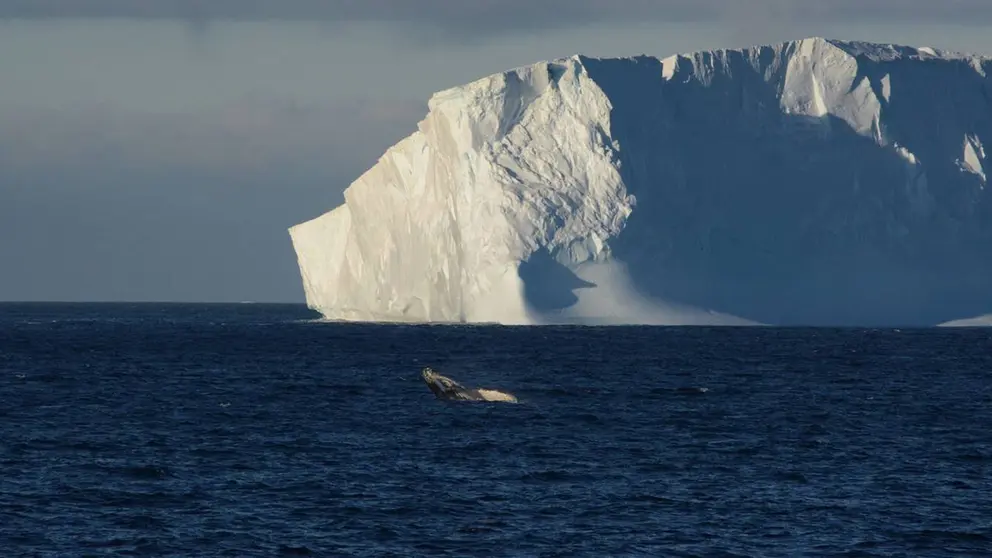 iceberg-efe