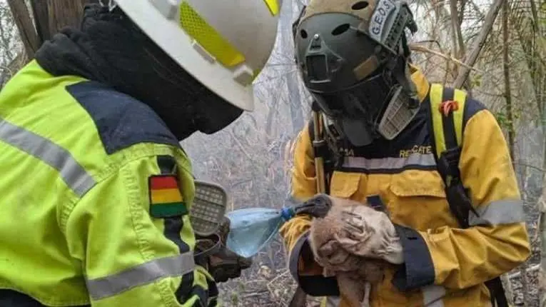 El voluntario Ernesto Fanor Nina Mamani, fallecido ayer durante labores de sofocaci&oacute;n en el Parque Nacional Tunari. RRSS