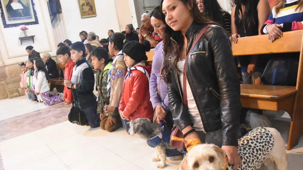 Una misa para mascotas en la Catedral Metropolitana de Cochabamba. ARCHIVO