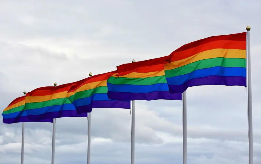 Imagen referencial de banderas LGBTI.