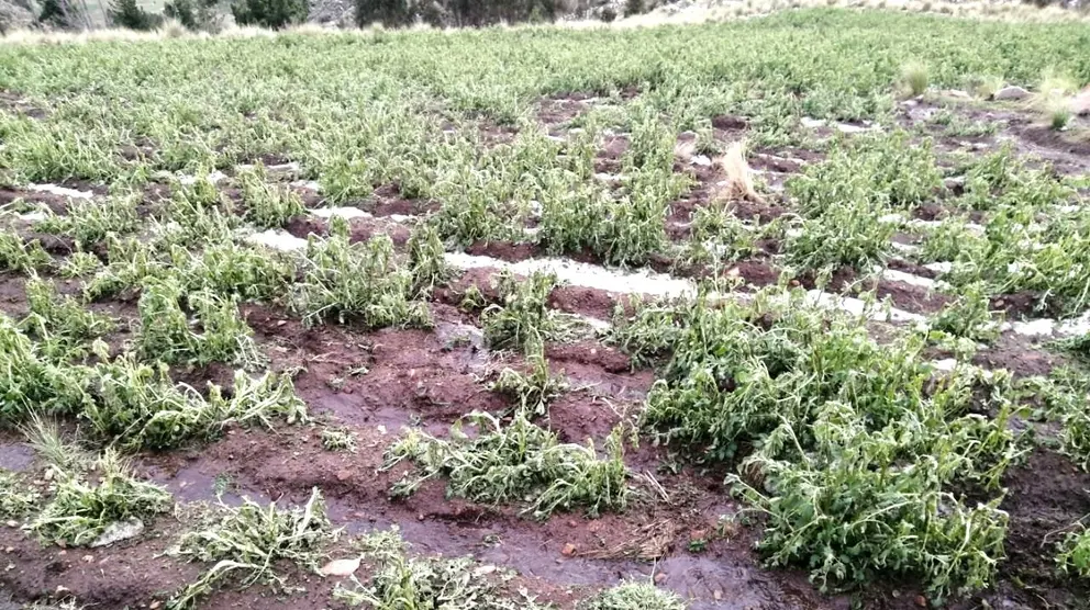 Foto referencial de una zona afectada por una granizada. ARCHIVO