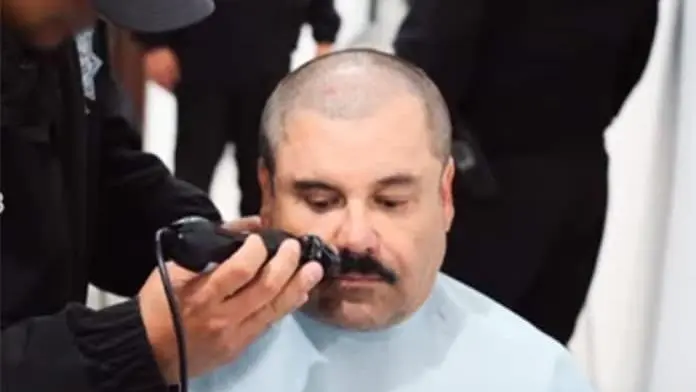 CORTES&Iacute;A ELPULSOLP DE CAPTURA DE VIDEO