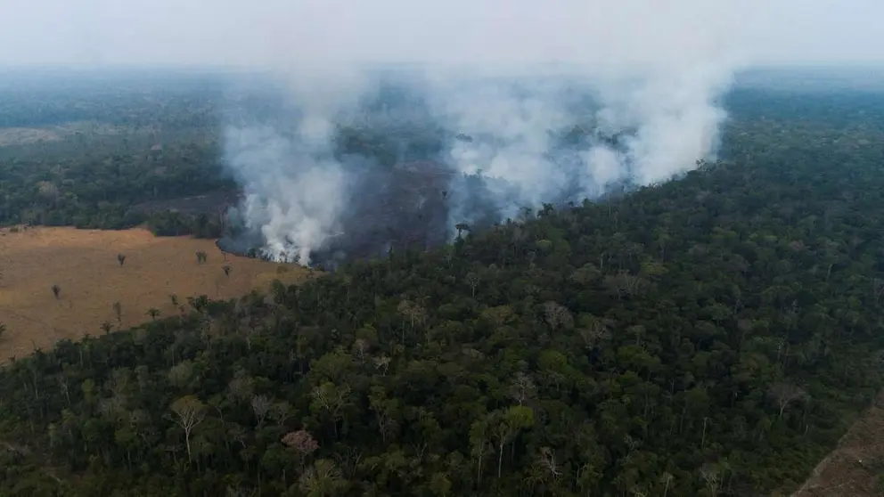 Incendio en la Amazon&iacute;a (2019). EFE
