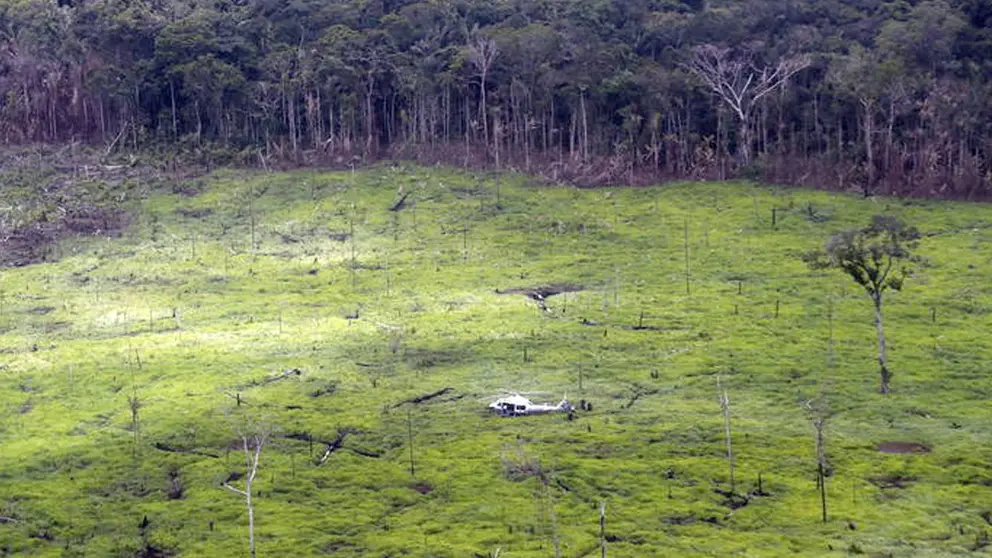 DEFORESTACION