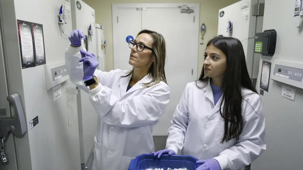 investigadores