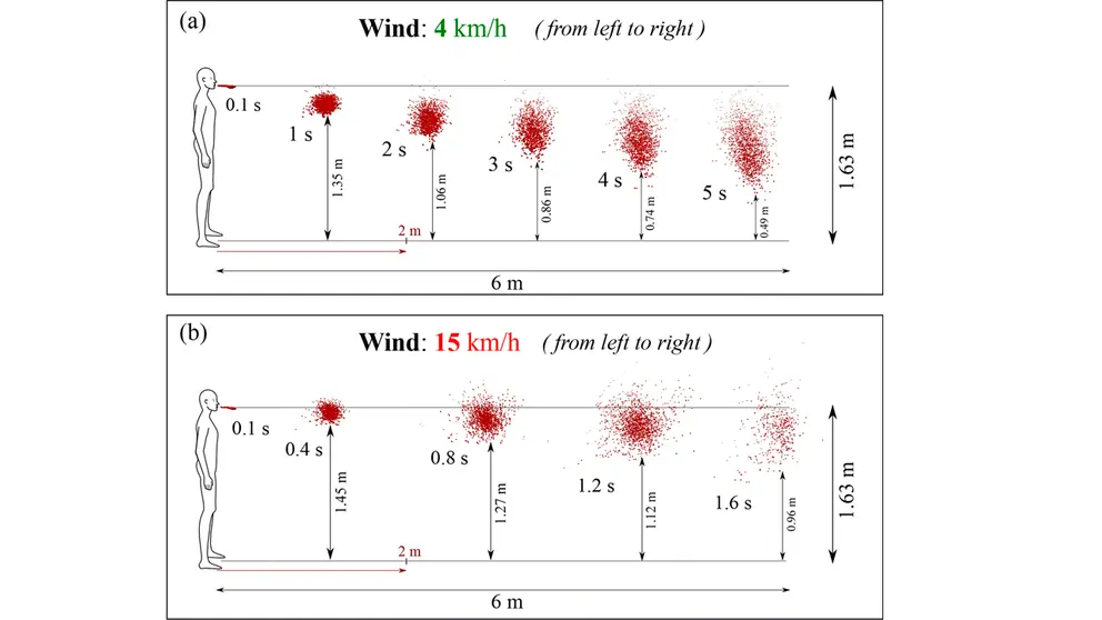 Las gotas de saliva pueden viajar grandes distancias, dependiendo de las condiciones ambientales como la velocidad del viento, la temperatura, la presi&oacute;n y la humedad. EFE