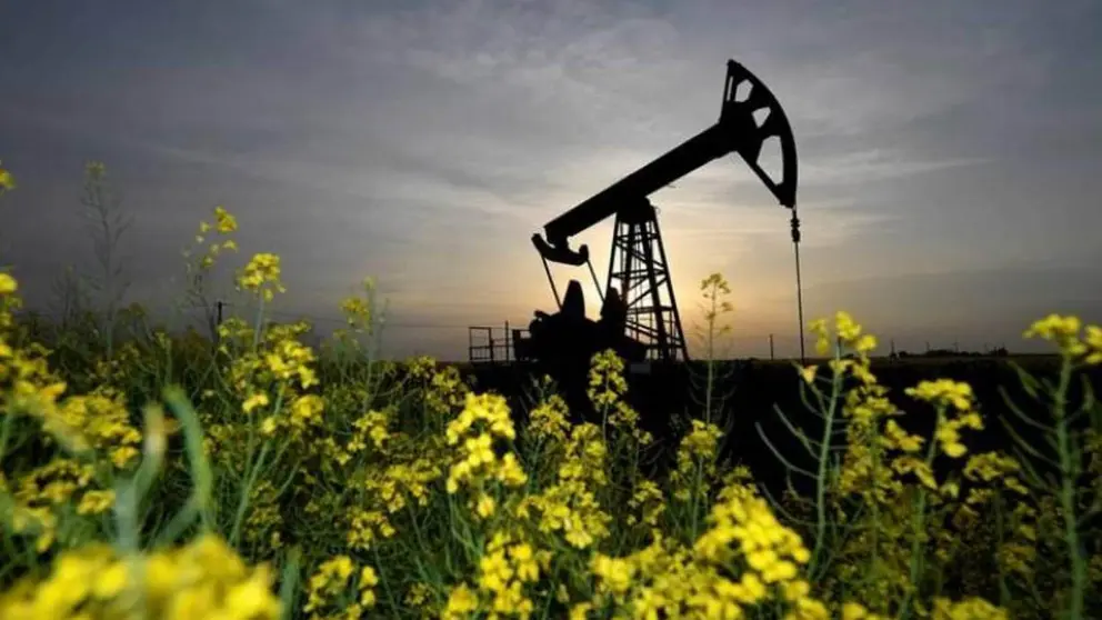 PETROLEO