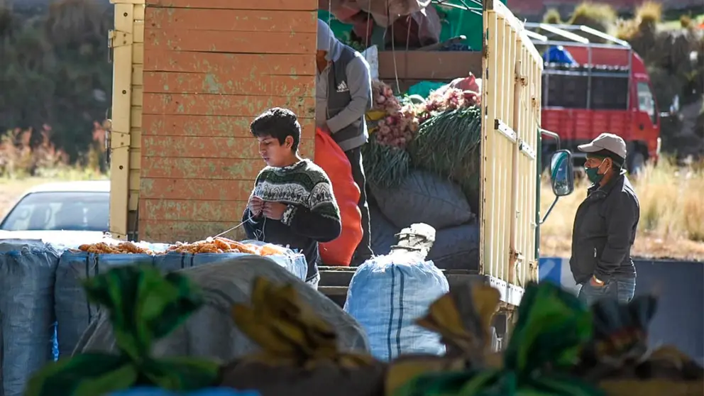 Agricultores de Colomi descargan su producci&oacute;n de un cami&oacute;n
