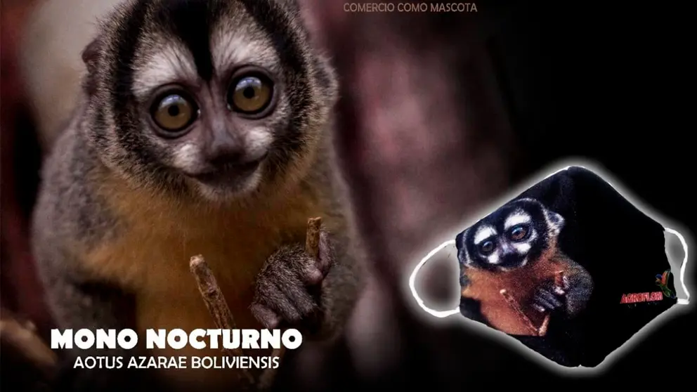 Imagen de un barbijo de Agroflori.