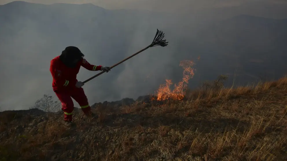 Personal de Bomberos trabaja en sofocar un incendio. FOTO- APG