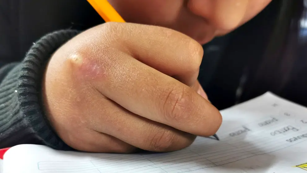 otografía ilustrativa de una niña haciendo su tarea. Mariela Cossío