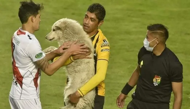 El jugador Ra&uacute;l Castro, junto a Cachito, en un partido de The Strongest. Urgente.bo