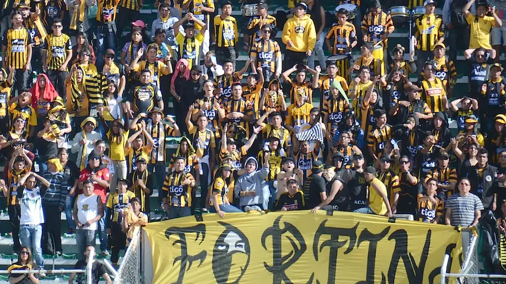 HINCHAS TIGRE