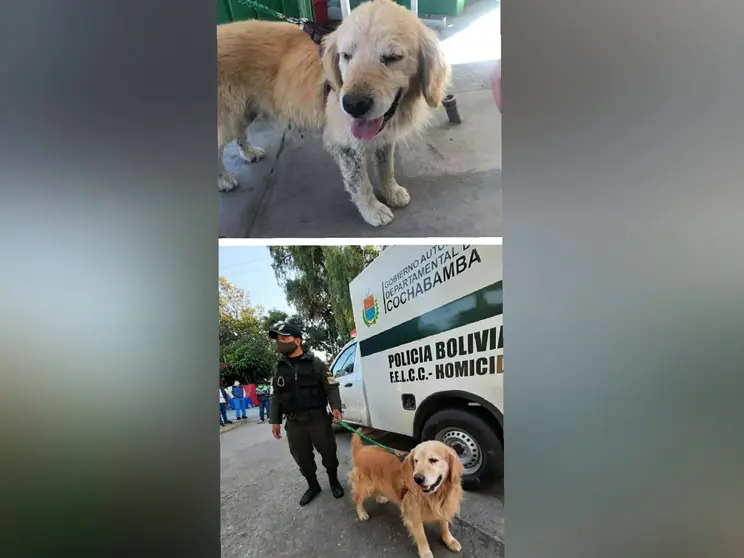 Max, el perro ciego y sordo que adopt&oacute; la Polic&iacute;a Tur&iacute;stica. ARCHIVO