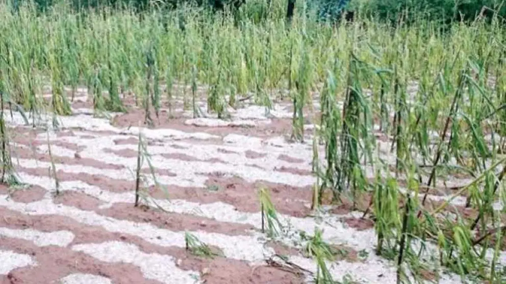 Imagen de archivo de una granizada en el Valle Alto de Cochabamba.