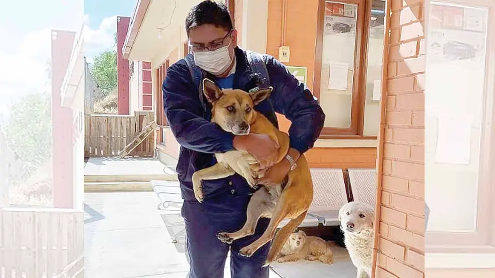 Un perro desalojado de la CNS es sacado de Zoonosis para ser dado en adopción. ZOONOSIS