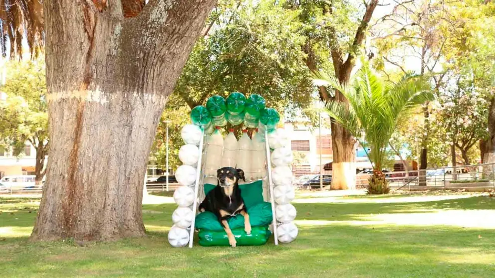 Un can en una %22pelucasita ecológica%22 en la plaza Sucre. Cortesía Luís Siles
