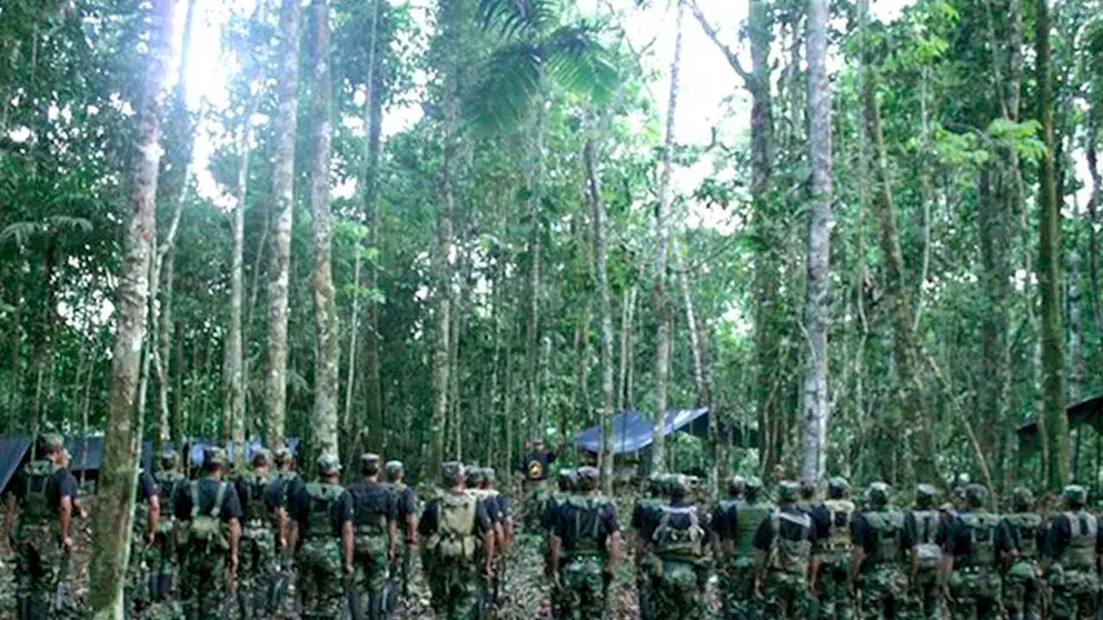 Remanentes del grupo terrorista Sendero Luminoso en la zona selvática del VRAEM, en Perú. EFE-ARCHIVO