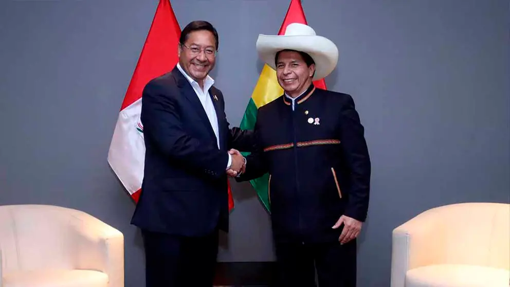 El presidente Luis Arce junto a su hom&oacute;logo Pedro Castillo. Foto: Agencia Andina ARCHIVO