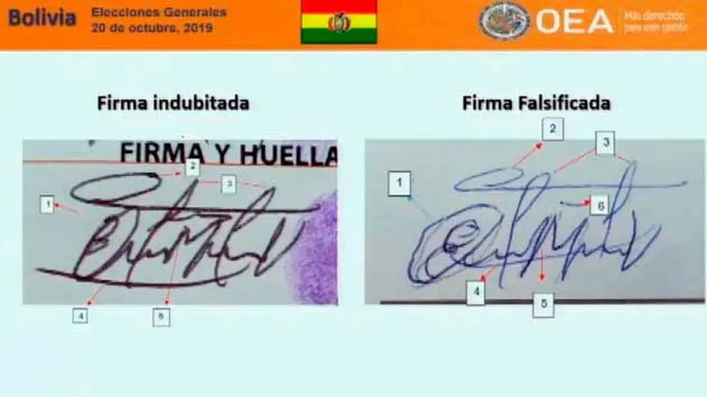 ricia y las actas: &lsquo;Si hubo falsificaci&oacute;n, eso no ha sido el objeto de nuestro trabajo&rsquo;

Una de las falsificaciones encontradas por la OEA.