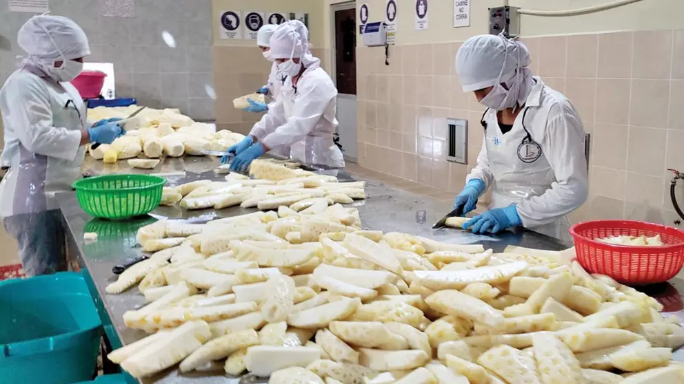 Imagen referencial de un grupo de trabajadores procesando piñas.     Insumos Bolivia