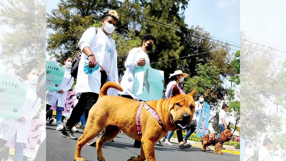 Estudiantes del área de salud marchan junto a sus mascotas, durante el Día de Lucha Contra la Rabia. NOÉ PORTUGAL