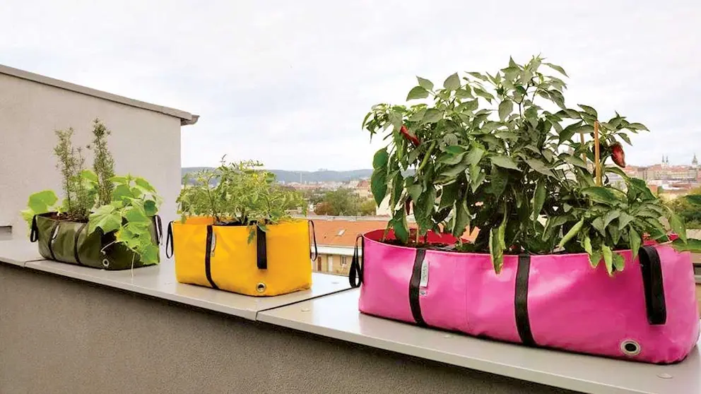 Primavera ecológica: consejos para iniciar una huerta en casa. INFOBAE