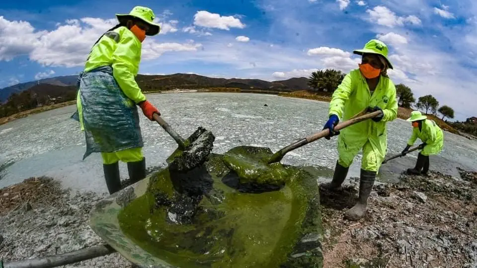 Trabajos de limpieza de macr&oacute;fitas en la laguna Alalay, este 28 de enero./DICO SOL&Iacute;S