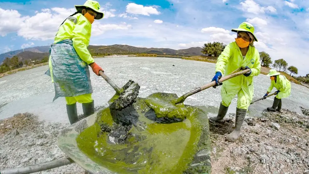 Trabajadoras del PLANE durante una limpieza en la laguna Alalay. DICO SOLÍS