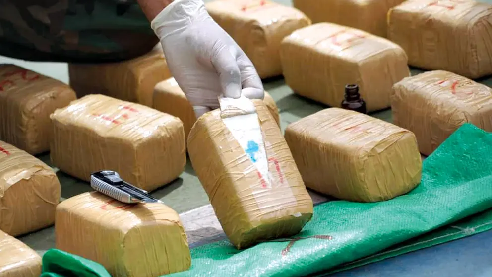 Efectivos antinarcóticos secuestran droga. MINISTERIO DE GOBIERNO