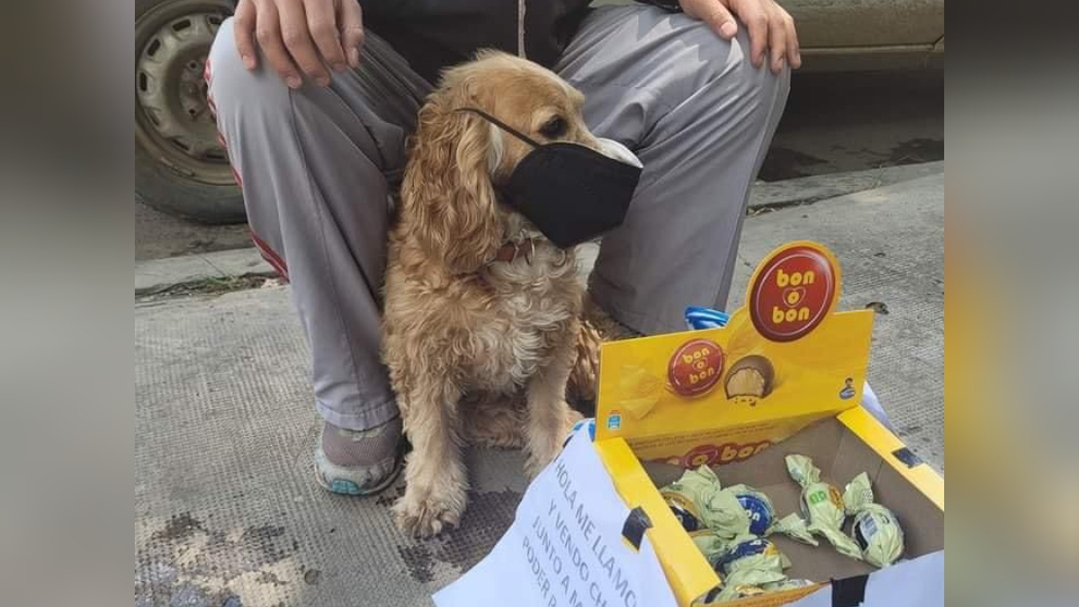 Can vende chocolates junto a su due&ntilde;o para pagar tratamiento. Facebook