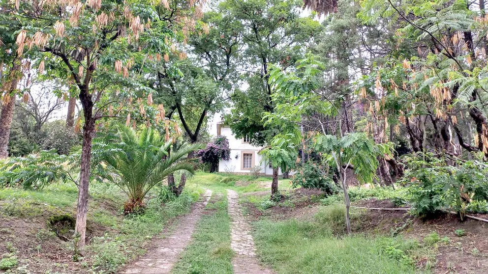El Museo de Historia Natural Alcide d&rsquo;Orbigny en el terreno de la América y Potosí. TERESA CAMACHO