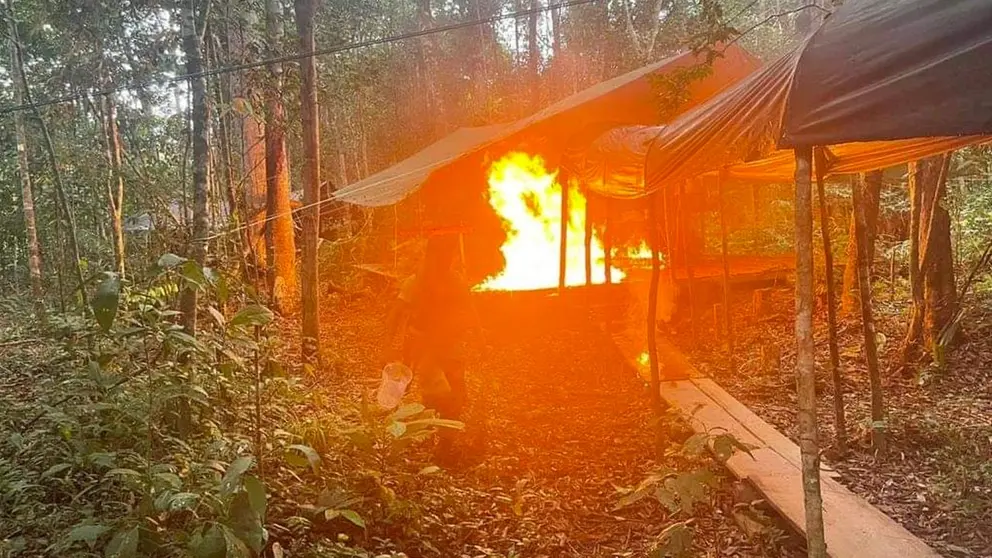 Destruyen megalaboratorio de droga en el Parque Noel Kempff de Santa Cruz. Foto- Viceministerio de Defensa Social y Sustancias Controladas.