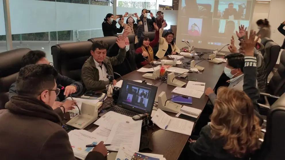 La Comisi&oacute;n de Planificaci&oacute;n Pol&iacute;tica Econ&oacute;mica y Finanzas de la C&aacute;mara de Diputado, este jueves. C&Aacute;MARA DE DIPUTADOS