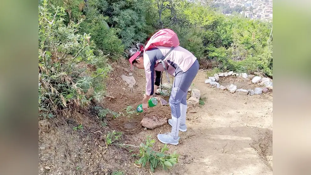 Una ambientalista riega un árbol en el cerro San Pedro. HUELLAS VERDES