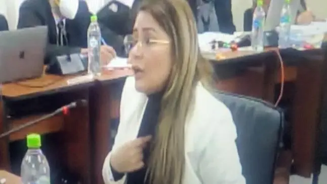 Jeanine &Aacute;&ntilde;ez, en su audiencia semipresencial por el caso "Golpe II".