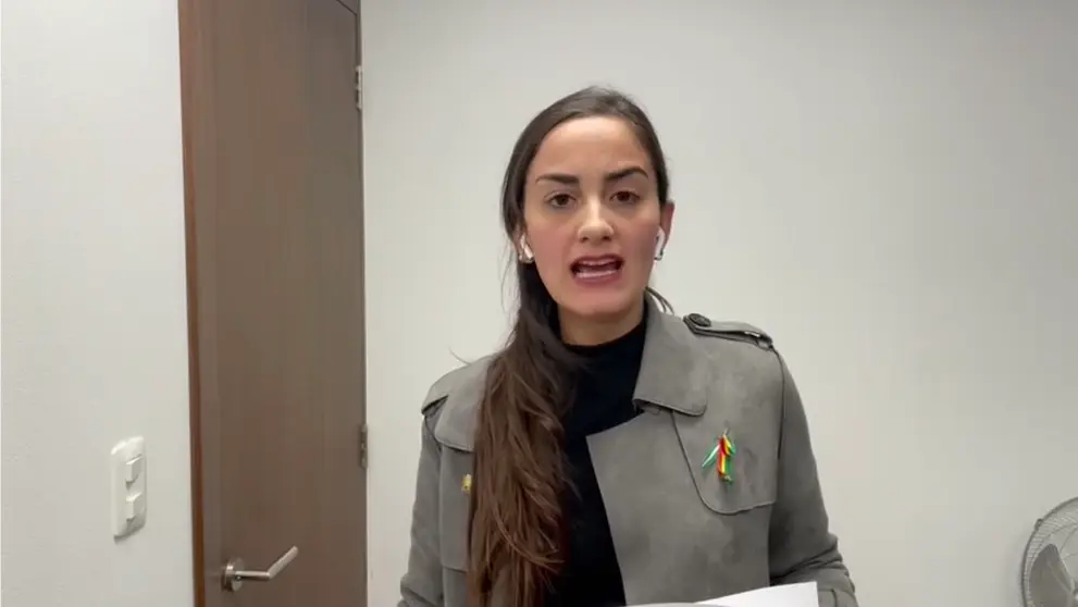 La diputada de Comunidad Ciudadana (CC), Luisa Nayar.