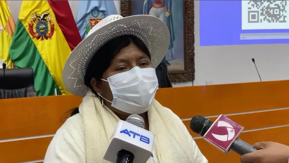 La asamble&iacute;sta del Movimiento Al Socialismo (MAS), Juanita Ancieta.