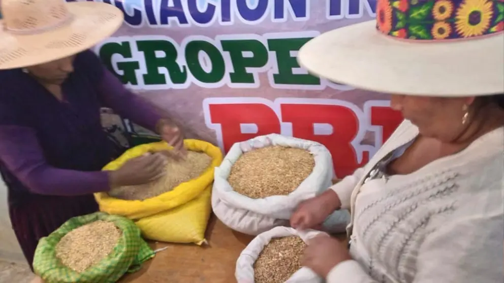 Mujeres del municipio de Tacopaya en uno de los encuentros de socializaci&oacute;n. RADIO TV ANDINA