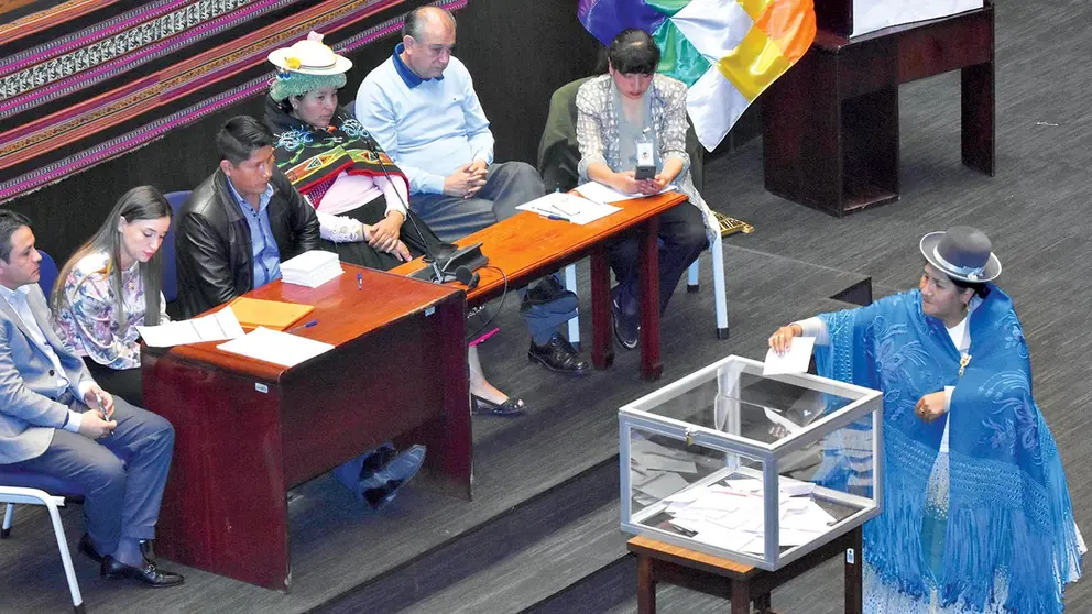 El proceso de sufragio frente a la comisión en la sesión de la Asamblea. APG