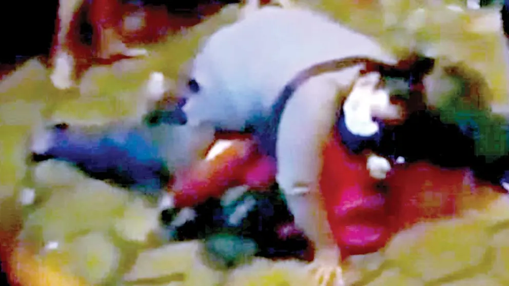 Pobladores de Yapacaní casi linchan a sindicado de violar a un niño. CAPTURA UNITEL