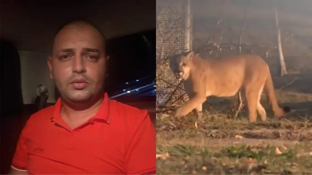 Misael Nallar y uno de los pumas en su estancia, en Santa Cruz. URGENTE.BO