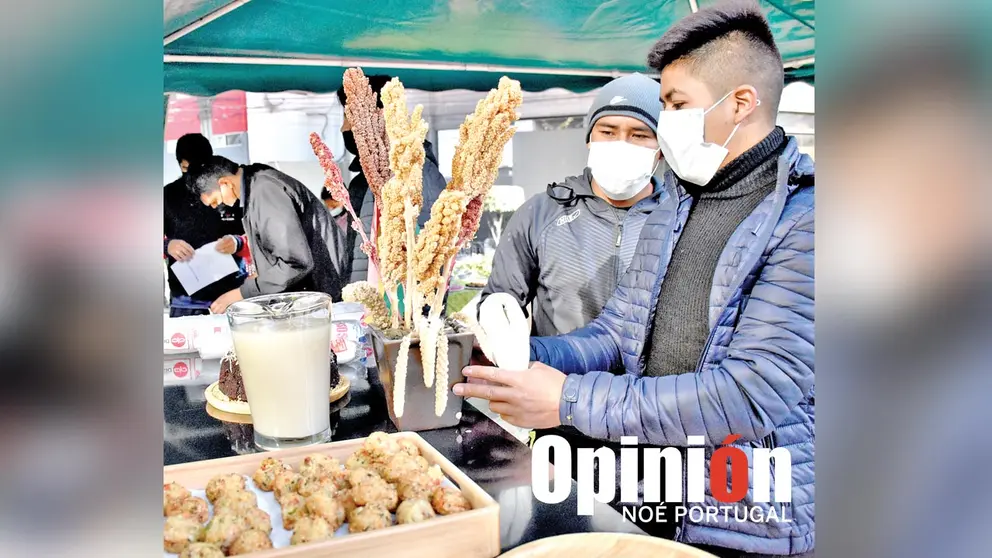 Algunas variedades de quinua obtenidas por la UMSS. NOÉ PORTUGAL
