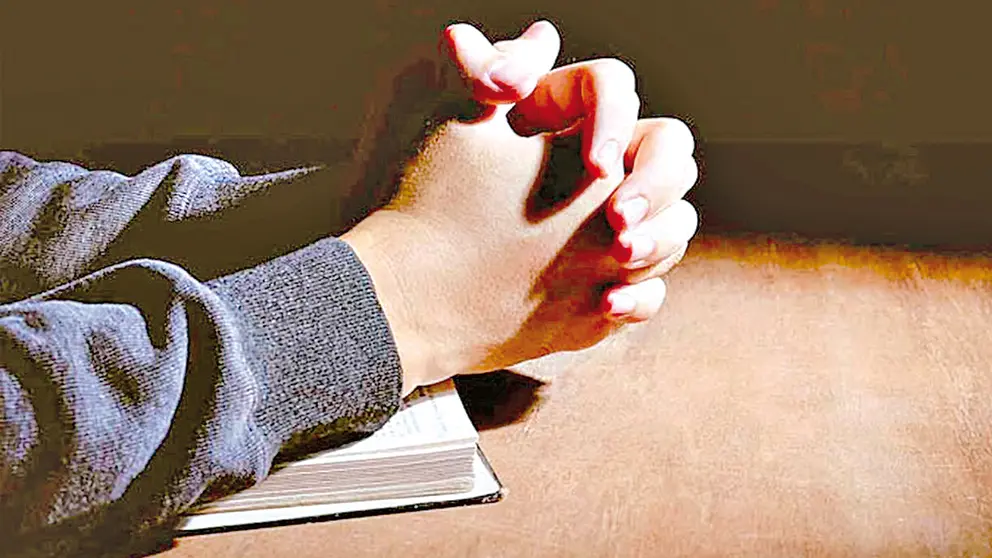Fotograf&iacute;a ilustrativa de un pastor.     PIXABAY