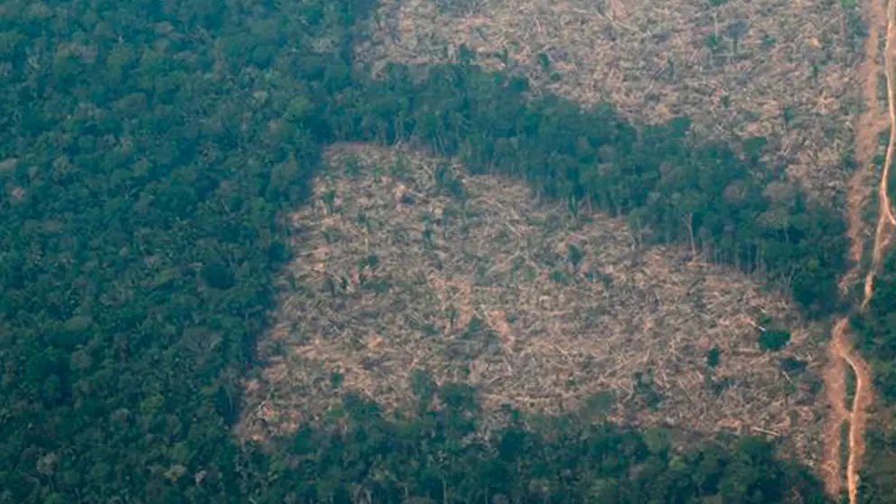 Sobre Amazon&iacute;a. EFE
