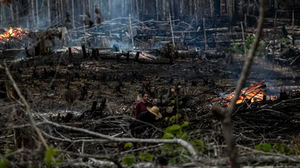 Sobre deforestaci&oacute;n en  la Amazon&iacute;a. EFE